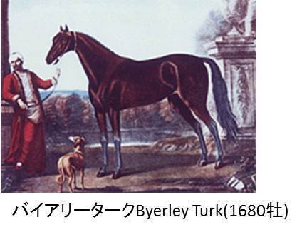 日本の競馬重賞勝ち馬の血統 セフト バイアリーターク系 馬次郎日和